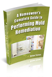 Mold Removal Book Review A Homeowner S Complete Guide To Mold Remediation